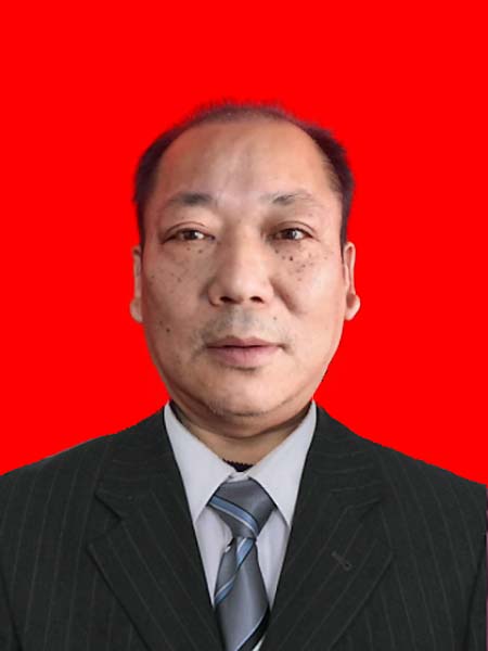 龙迎武